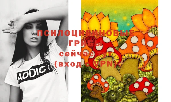 таблы Алексеевка